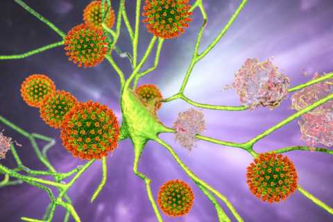 Even a mild bout of Covid could cause brain damage, scientists warn