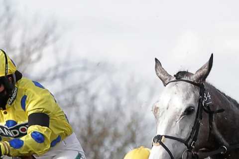Grand National 2022 – Paddy Power offer: Bet £20 on horse racing at Aintree and get money back as..