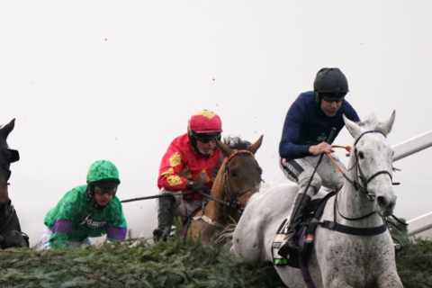 Grand National 2022: First mum EVER to win? Country gets behind amazing mare Snow Leopardess as..