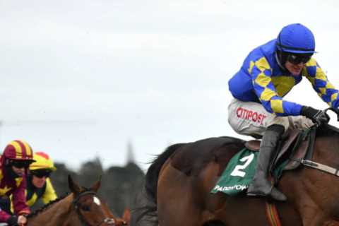 Willie Mullins picks KEY Grand National Festival runner to stand out among squad ‘not as strong’ as ..