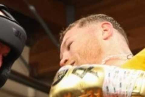 Canelo Alvarez leaves blogger peeing BLOOD after taking champ’s brutal body punches ahead of Dmitry ..