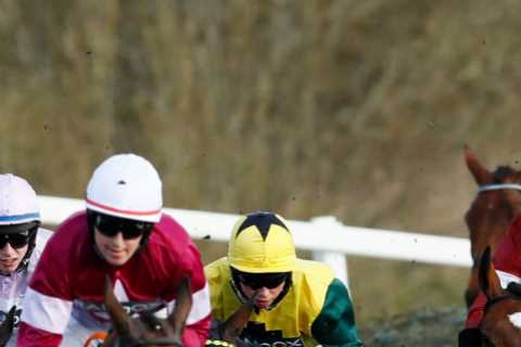Grand National prediction: Key stats reveal 66-1 outsider owned by family of late billionaire will..