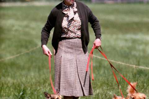 I’m a royal Chef &amp; here’s what the Queen’s corgis eat – it takes an entire team &amp; their..