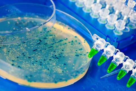 Horrifying map reveals 5,000 NEW viruses lurking under ocean ‘unknown to science’