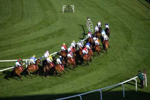 1.45 Aintree 2022 result – day 3: Who won Handicap Hurdle? How every horse finished at Grand..