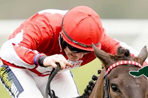 Who will win the Grand National? Templegate’s pick for the big one PLUS every race at Aintree on..