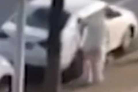 Sick moment pet corgi beaten to death by health worker after owner tests positive for Covid amid..