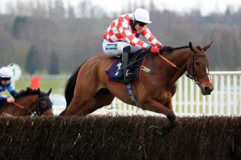 Trainer Emma Lavelle pays tribute to Eclair Surf who dies after head injury suffered in Grand..