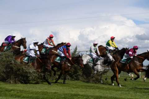 Who won Grand National 2022? Result and how every horse finished for 5.15 Aintree showpiece race