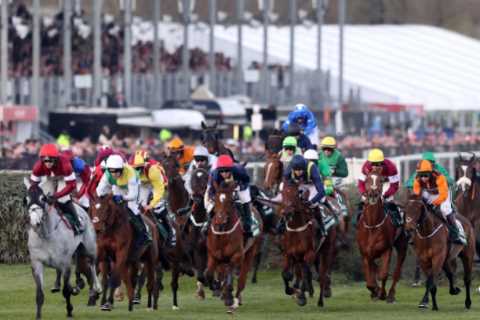 Matt Chapman: Why the secrecy over Grand National weights? All it does is stitch punters up
