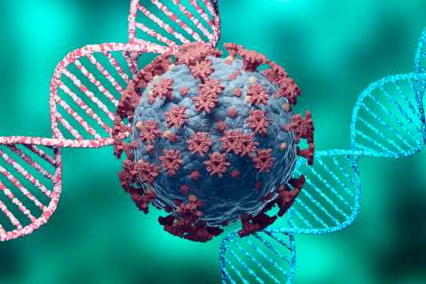 Everything we know about the 4 new Covid variants detected in UK and Europe