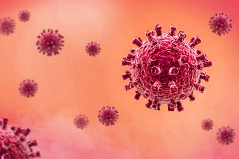 Two new Omicron variants under investigation – with two cases in the UK