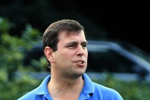 Prince Andrew stunned posh pals by locking himself alone in VIP suite for two days to watch porn,..