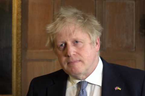 Met’s Partygate probe slammed as allies rally around Boris Johnson