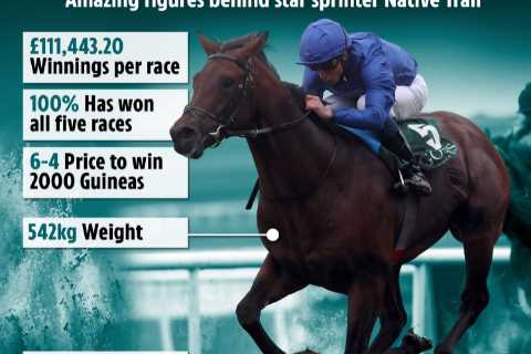Native Trail is the money-making machine nicknamed ‘The Daddy’ primed to deliver billionaire owner..