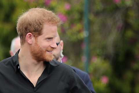 Prince Harry and Meghan Markle given ‘VVIP status’ by cops ahead of trip to Netherlands this weekend