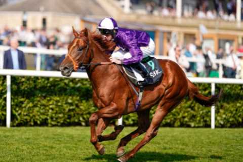 Templegate’s ten to follow on the Flat – the top money-spinners for the summer season
