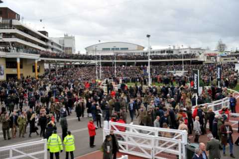Cheltenham begin formal talks over extending Festival to FIFTH day in huge revamp despite calls for ..