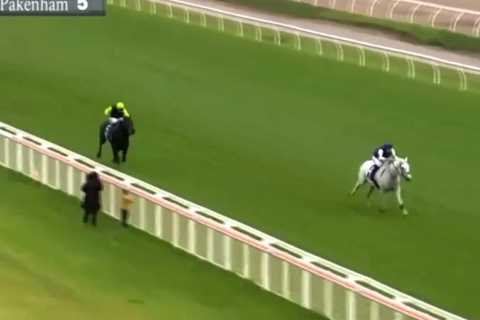 Jockey ‘nearly became a meme’ after easing down early and almost losing £30,000 race in..