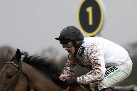 Nicky Henderson decides NOT to take on Champion Hurdler Honeysuckle with star five-year-old..