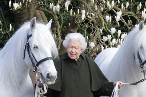 Where is The Queen?