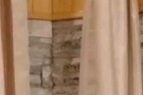 Freeze The Fear viewers all have the same complaint about shower scenes in Holly Willoughby’s new..