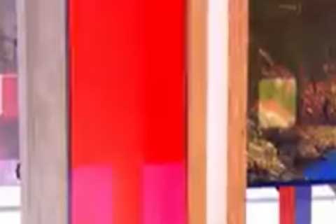The One Show’s Nikki Fox leaves camera crew howling with swipe at Steve Coogan