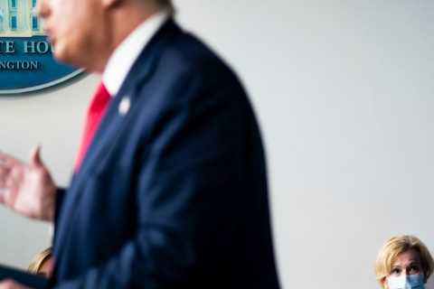 Deborah Birx’s Excruciating Story of Donald Trump’s Covid Response