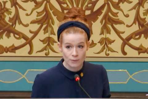 Smeared as a Groomer, a Michigan Democrat Goes on Offense