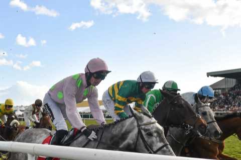 Mystery as winless horse who’s earned just £84 is backed from 80-1 to 10-1 to cause huge upset at..
