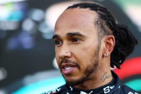 Lewis Hamilton finally bags a victory as F1 star wins council battle to chop down tree at..