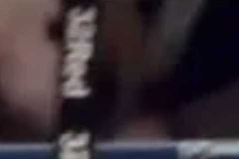 New footage of Tyson Fury’s KO dismisses Dillian Whyte’s claims he smashed head on canvas after..