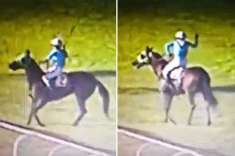 ‘Ban him for life!’ – Fury as jockey is filmed hitting horse in the face twice after losing race