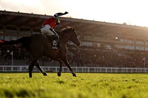 Why do racing people view punters with contempt? It’s time the betting public were shown a little..