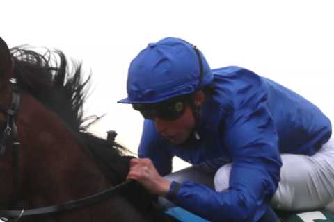 2000 Guineas: Templegate’s tip and runner-by-runner guide to spectacular Newmarket race on Saturday