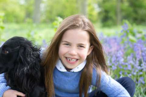 Princess Charlotte beams among bluebells in new snaps to mark her seventh birthday