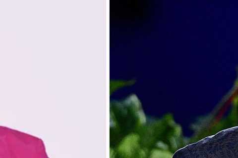 When will The Ellen DeGeneres Show end?