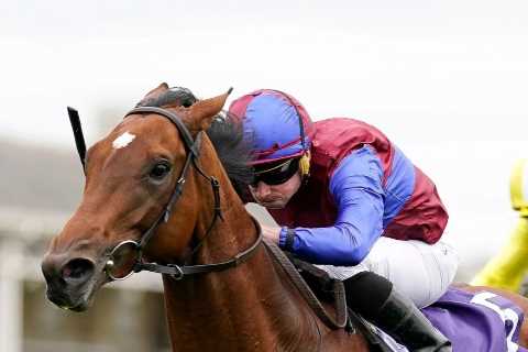 Epsom Derby favourite Luxembourg a huge doubt for £1.5million race after suffering setback in..