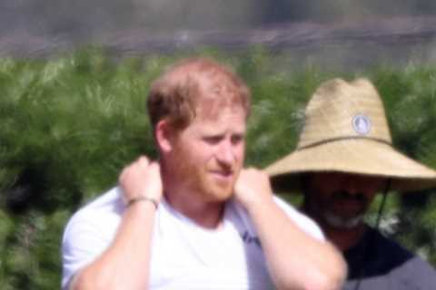 Prince Harry bares his chest on the polo field as he’s spotted for first time since Queen’s Jubilee ..
