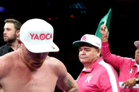 Boxing schedule 2022: Upcoming fights, fixture schedule including Anthony Joshua vs Uysk rematch..
