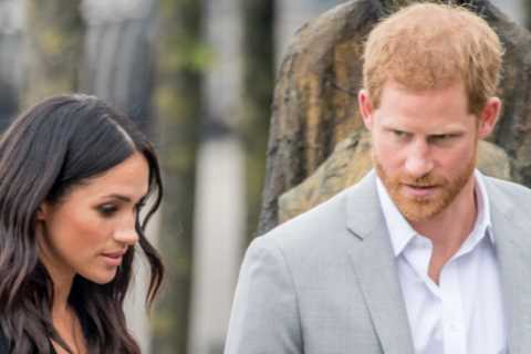 Meghan Markle and Prince Harry are ‘too out of touch’ &amp; ‘naive’ for Netflix after TV show..