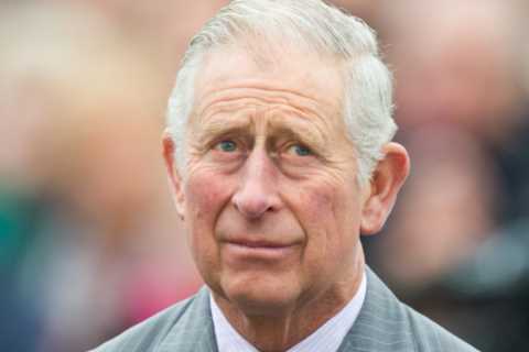 Prince Charles was on the longest ever apprenticeship – now we are witnessing the transition from..