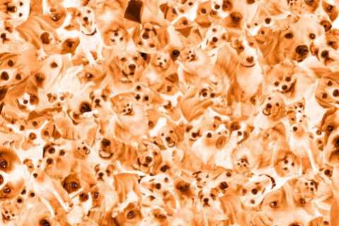 Can you spot the corgi in this crazy doggie puzzle? Royal fans are loving this latest mind challenge