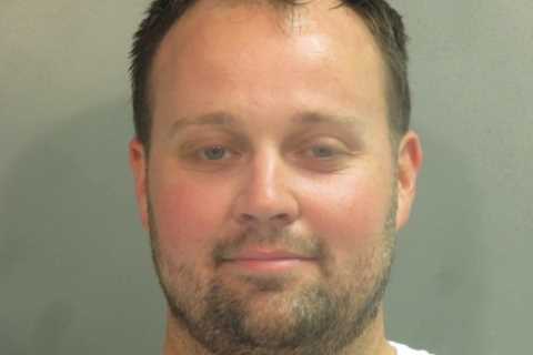 Josh Duggar SNUBBED by siblings while wife Anna &amp; mom Michelle BEG judge for leniency before..