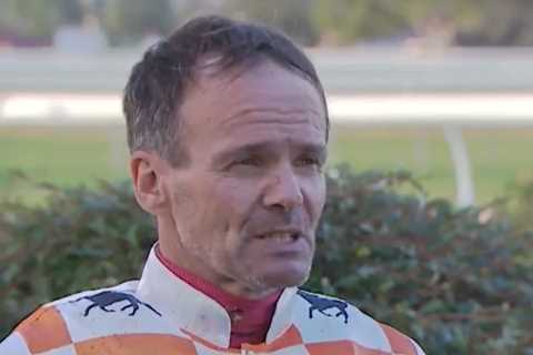 Trainer, 60, and jockey fined for fighting while one of them was riding a horse in shocking bust-up