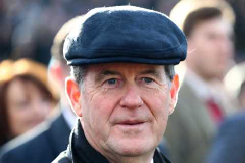 Disbelief as wrong horse – who was confused for a different runner for TWO MONTHS – turns up for..