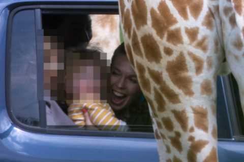 Carrie Johnson’s son Wilfred squeals with joy as giraffes approach him at safari park