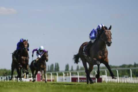 Matt Chapman: Charlie Appleby’s thinking makes him the best trainer in world and which of his stars ..