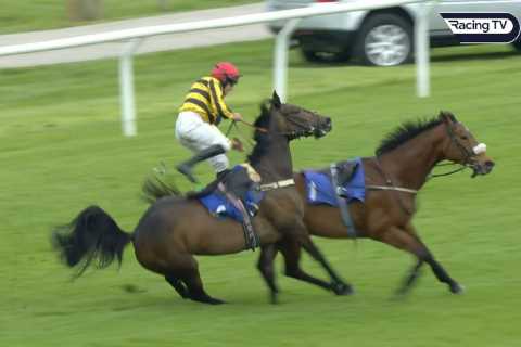 Shock 999-1 winner thrown off horse as carnage unfolds at Stratford races after tragic fall at the..