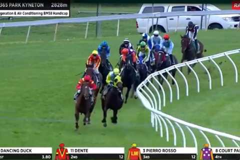 ‘They had no chance’ – Furious punters see £17,000 go up in flames after jockey’s..